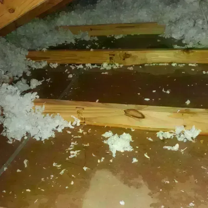 Attic Water Damage in Springfield, PA